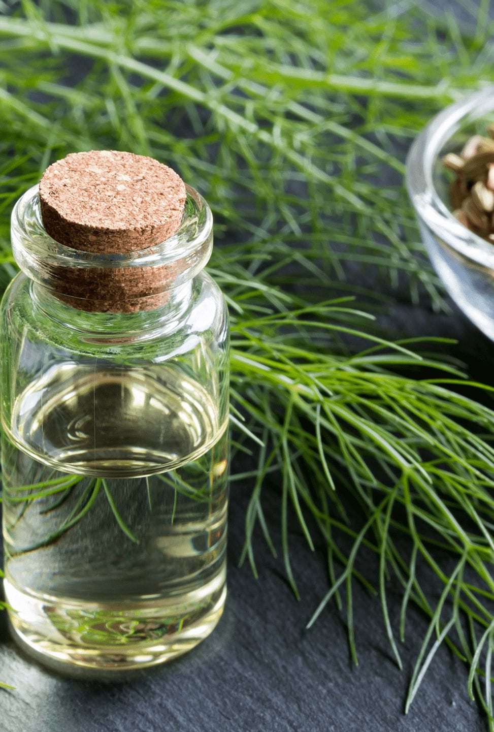 Licor de funcho Funcho em licor