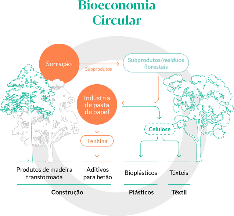 Bioeconomia circular