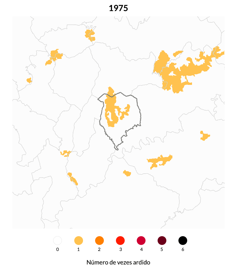 Case-Study-Alvares-gif
