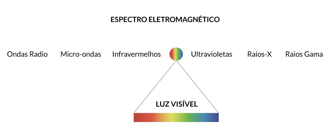ilustração-2-artigo-folhas-de-outono